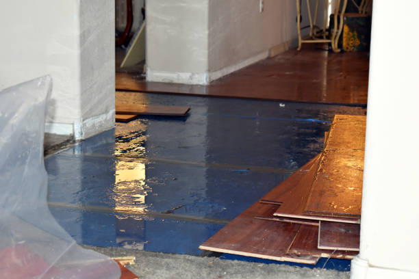 Professional Water Damage technician working in Brighton, IL